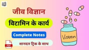 Functions of vitamins - विटामिन के कार्य