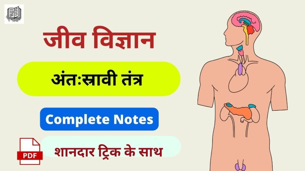 Endocrine System ( अंतःस्रावी तंत्र ) Classroom Notes in Hindi