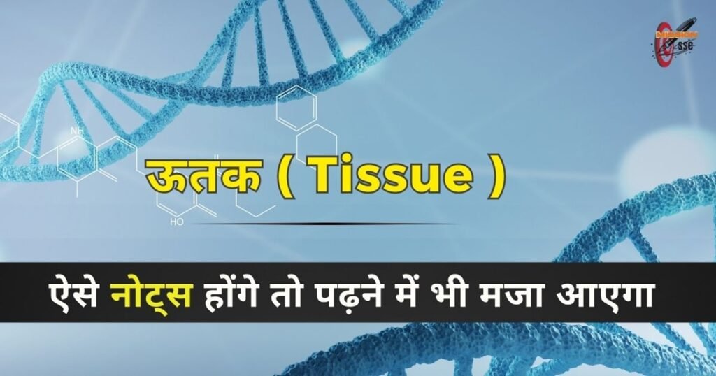 ऊतक ( Tissue ) : परिभाषा एवं जंतु उत्तक