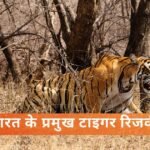 भारत के प्रमुख टाइगर रिजर्व