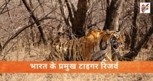 भारत के प्रमुख टाइगर रिजर्व