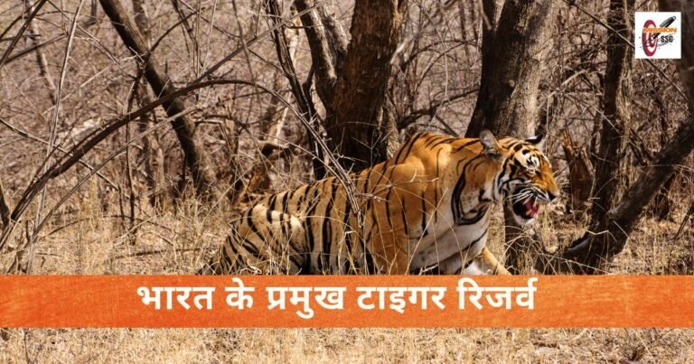 भारत के प्रमुख टाइगर रिजर्व